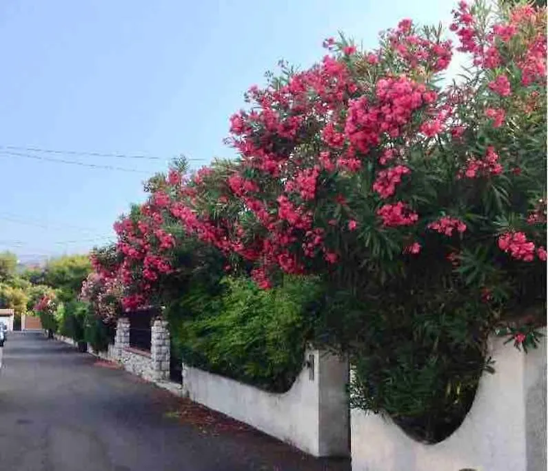 Proche Plages Juan Les Pins Petit Studio Dans Villa Antibes 0*,